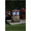 Smart Garden Blinkin Owl Large