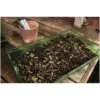 Westland Vermiculite 10ltr