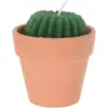 KPN0628 Cactus Shape Candle Assorted