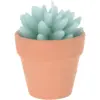 KPN0628_1 Cactus Shape Candle Assorted