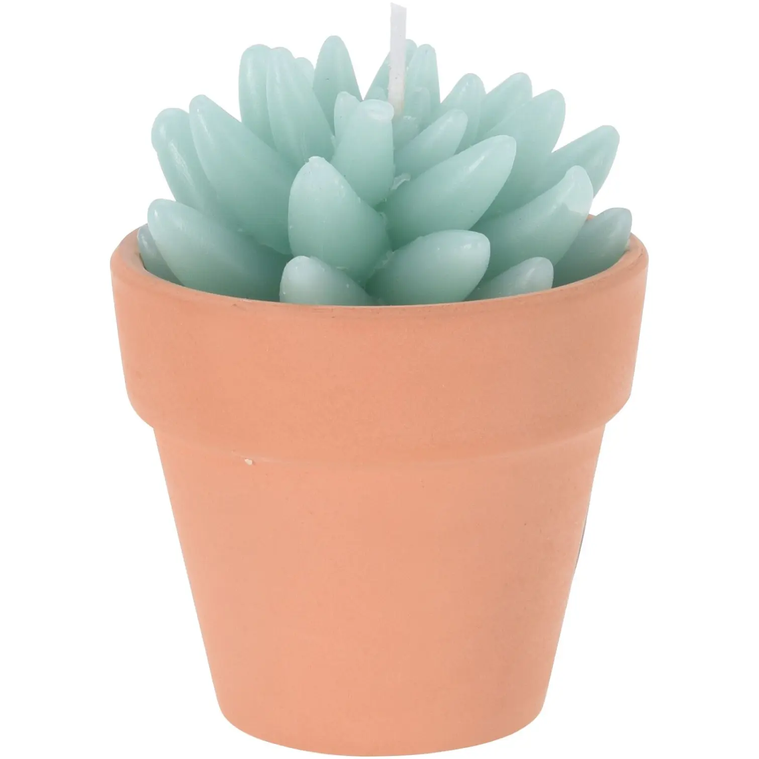 KPN0628_1 Cactus Shape Candle Assorted