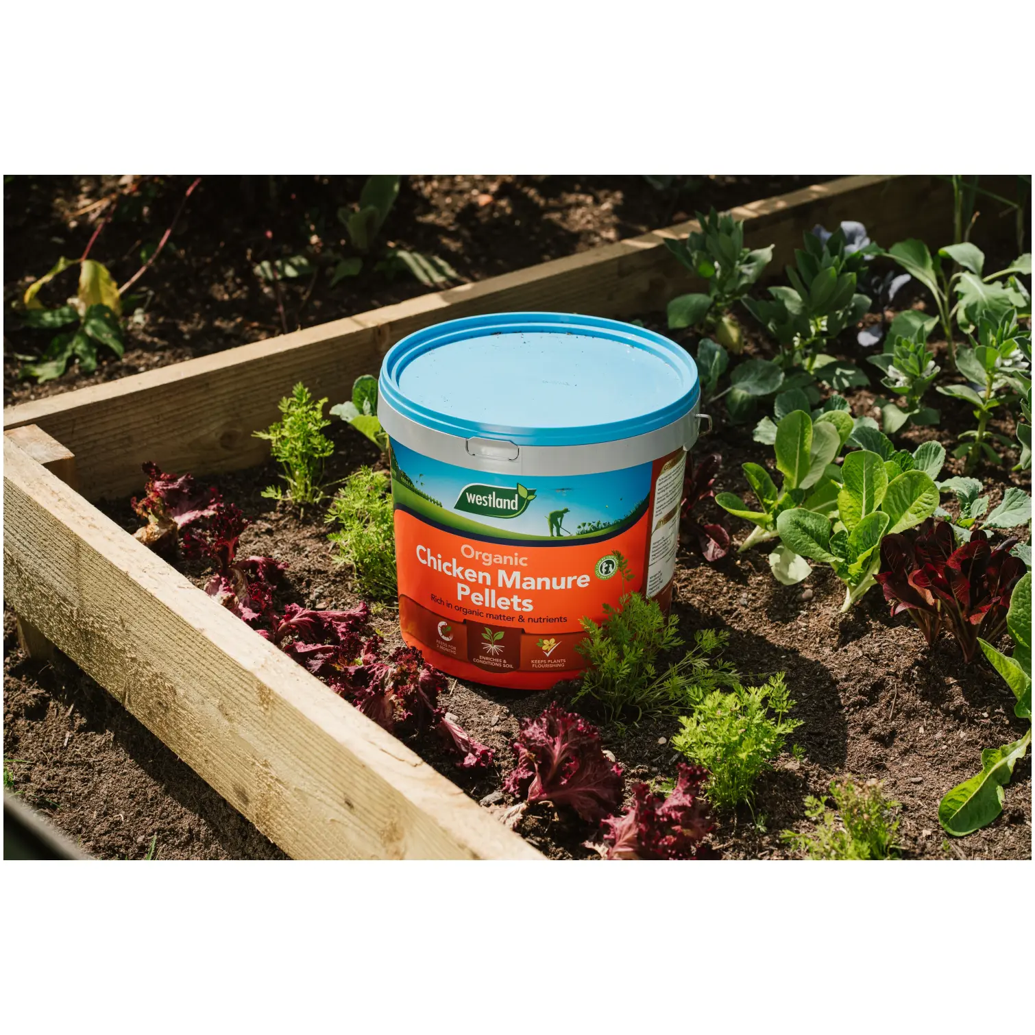 Westland Chicken Manure Pellets 8kg