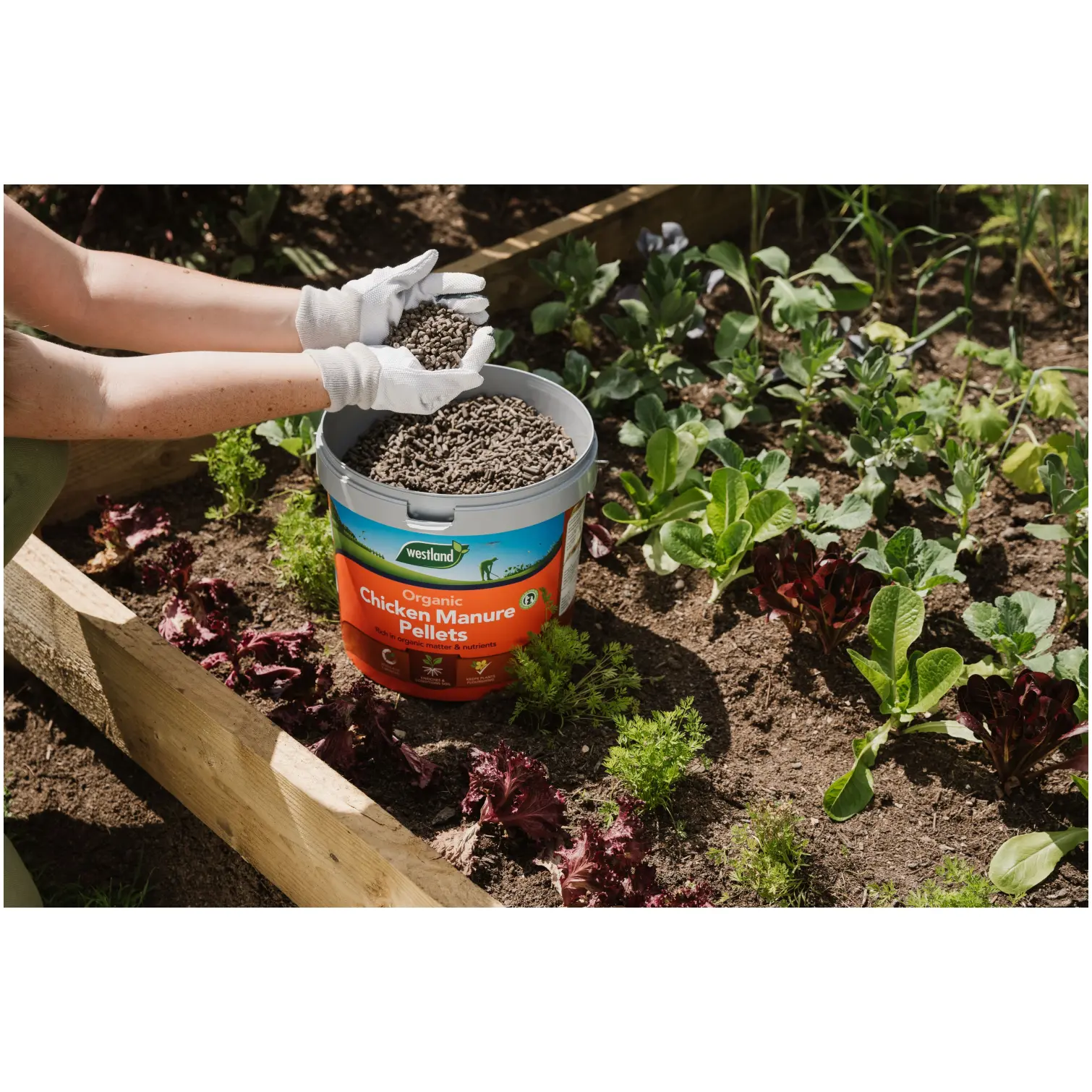 Westland Chicken Manure Pellets 8kg