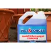 Wet & Forget Mould Lichen & Algae Remover 2L