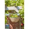 Smart Garden Hanging Basket Rattan Effect 14"