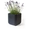 Keter Cube Planter 21.5ltr Anthracite