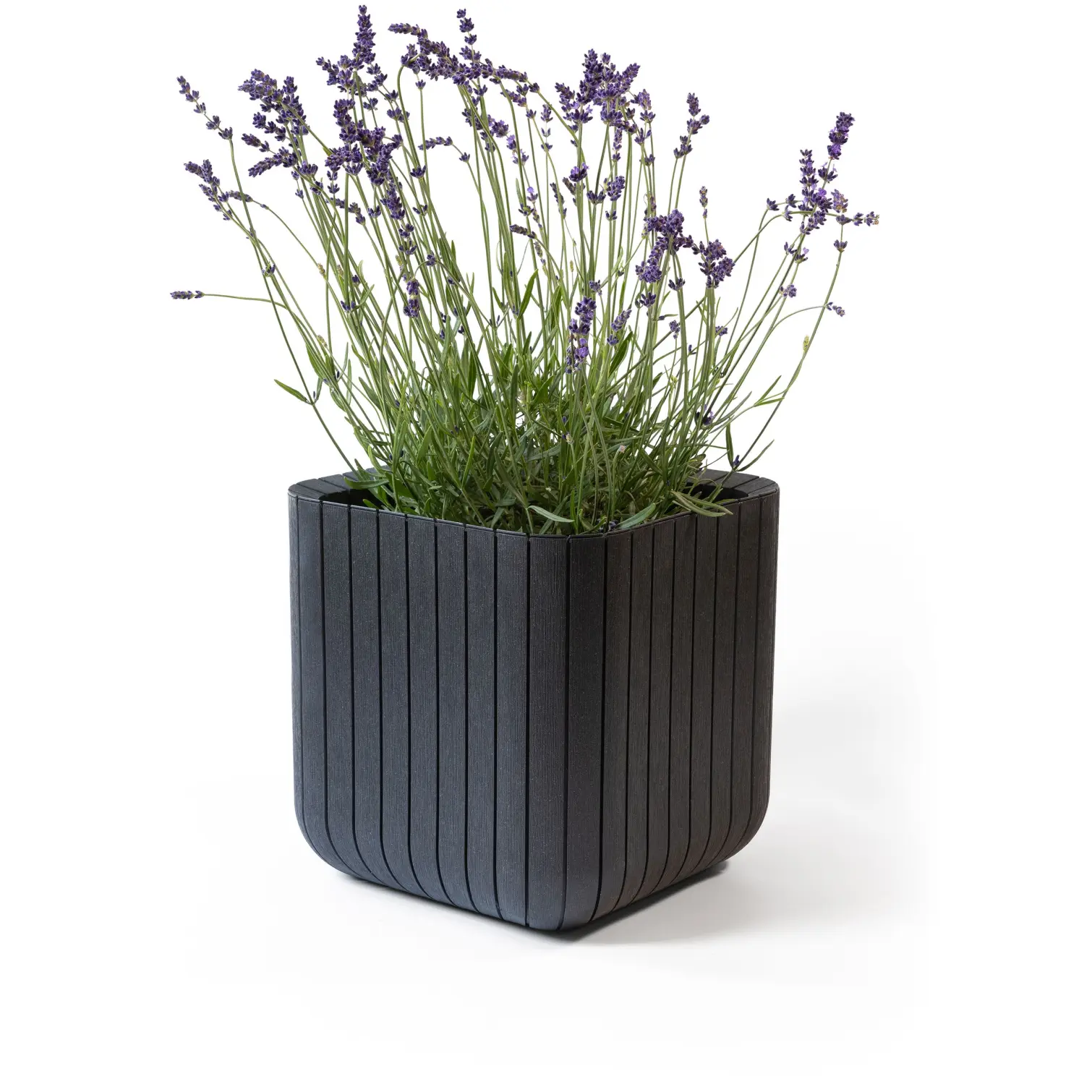 Keter Cube Planter 21.5ltr Anthracite