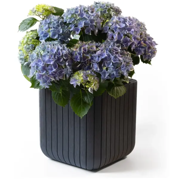 STE0315 Keter Cube Planter Anthracite 50.5 Litre Capacity