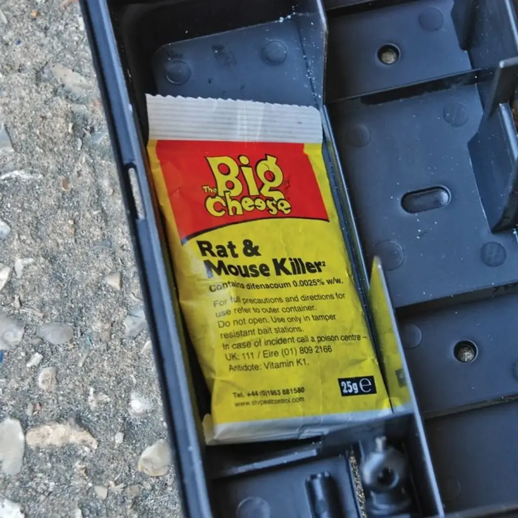 Pest Control - Mice & Rats