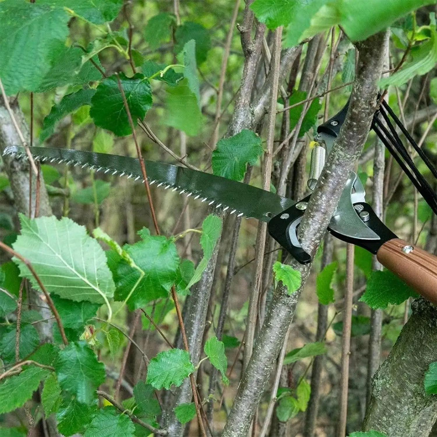 Kent & Stowe Telescopic Tree Lopper 3 metre