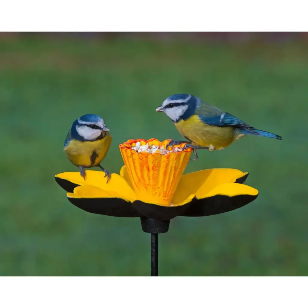 Bird & Pet Care