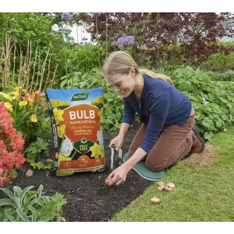 Bulb Fibre
