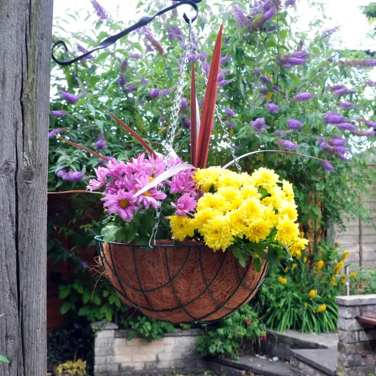 Hang Baskets Brackets Arches & Wall Pots