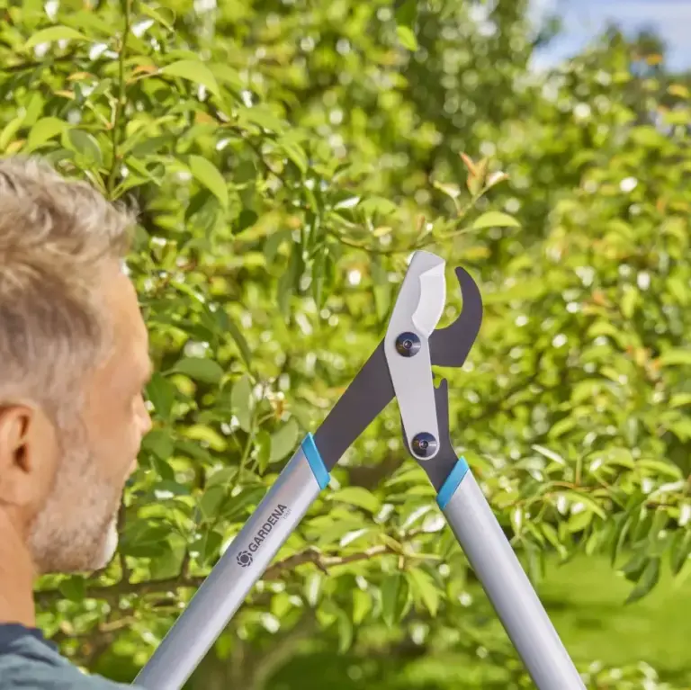 Loppers Tree Pruners&Prun/Saws