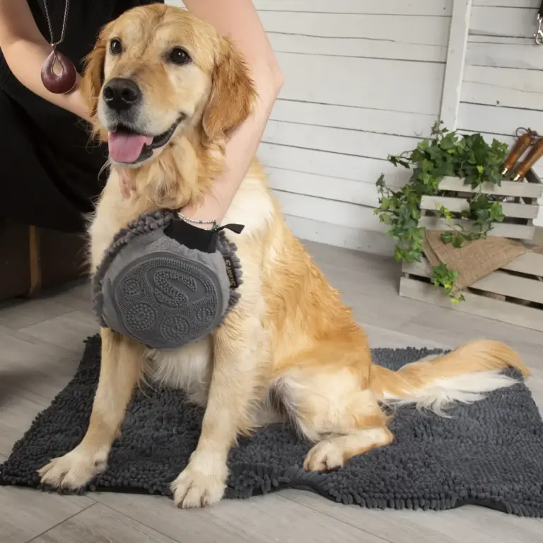 Pet Accessories
