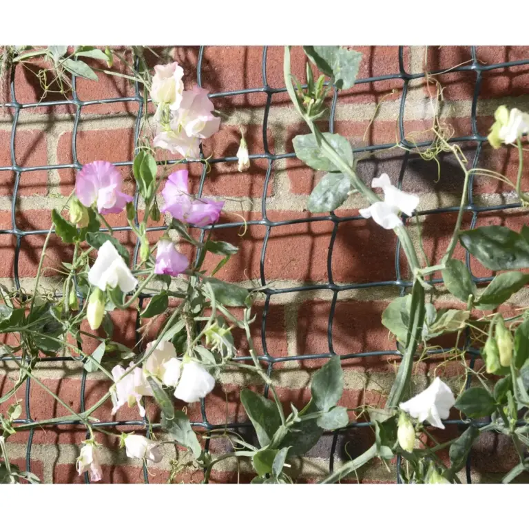 Plastic Fencing/Mesh