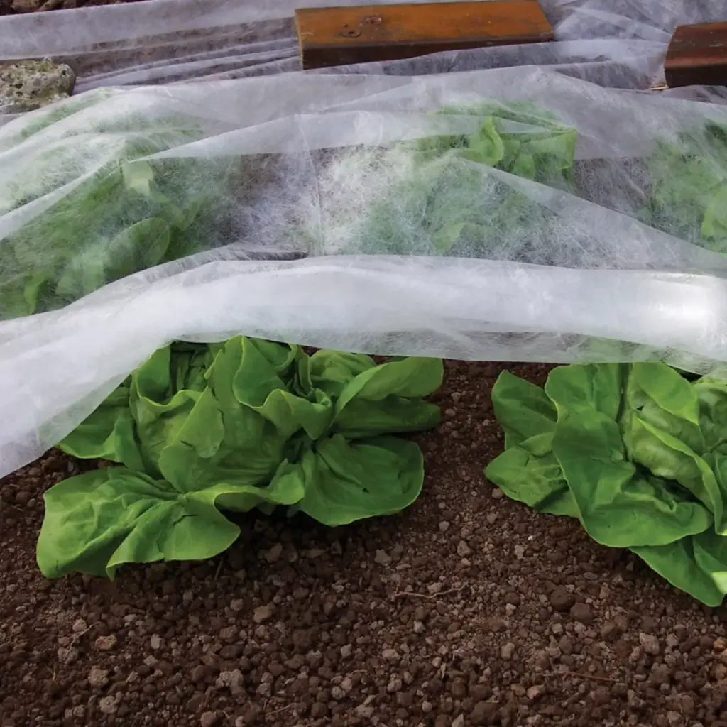 Trellis & Netting
