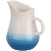 The Coast Large Jug