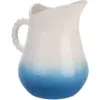 The Coast Large Jug