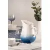 The Coast Large Jug
