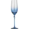The Coast Champagne Glass