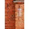 Henry Bell Squirrel Proof Peanut Feeder