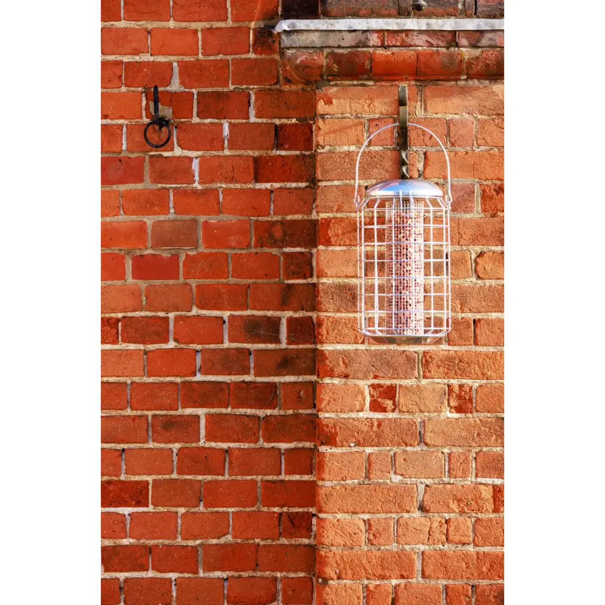 Henry Bell Squirrel Proof Peanut Feeder