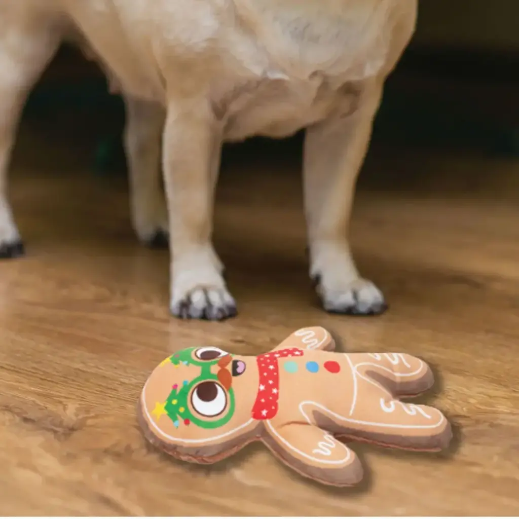 Christmas Pet Accessories