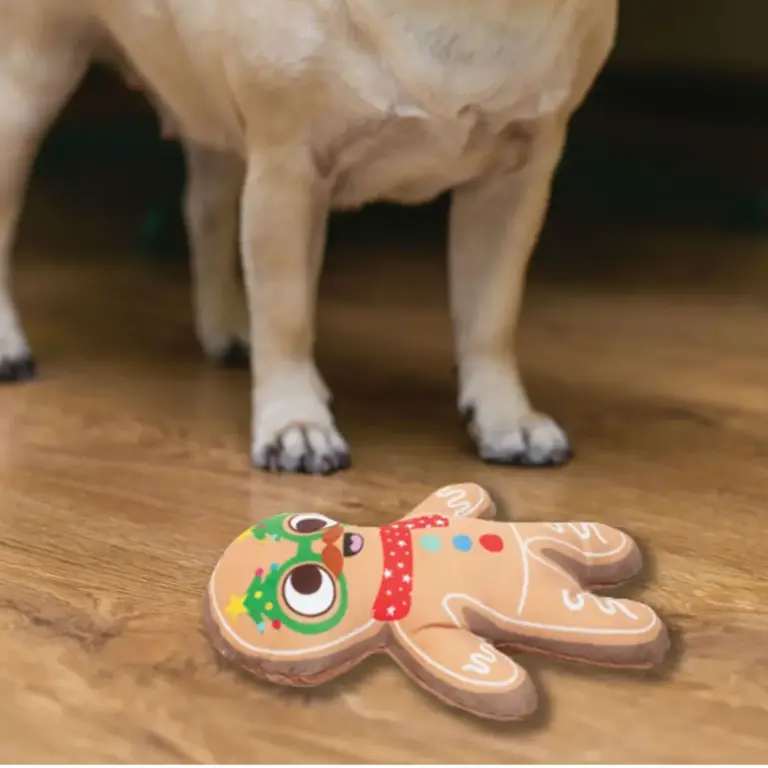 Christmas Pet Accessories
