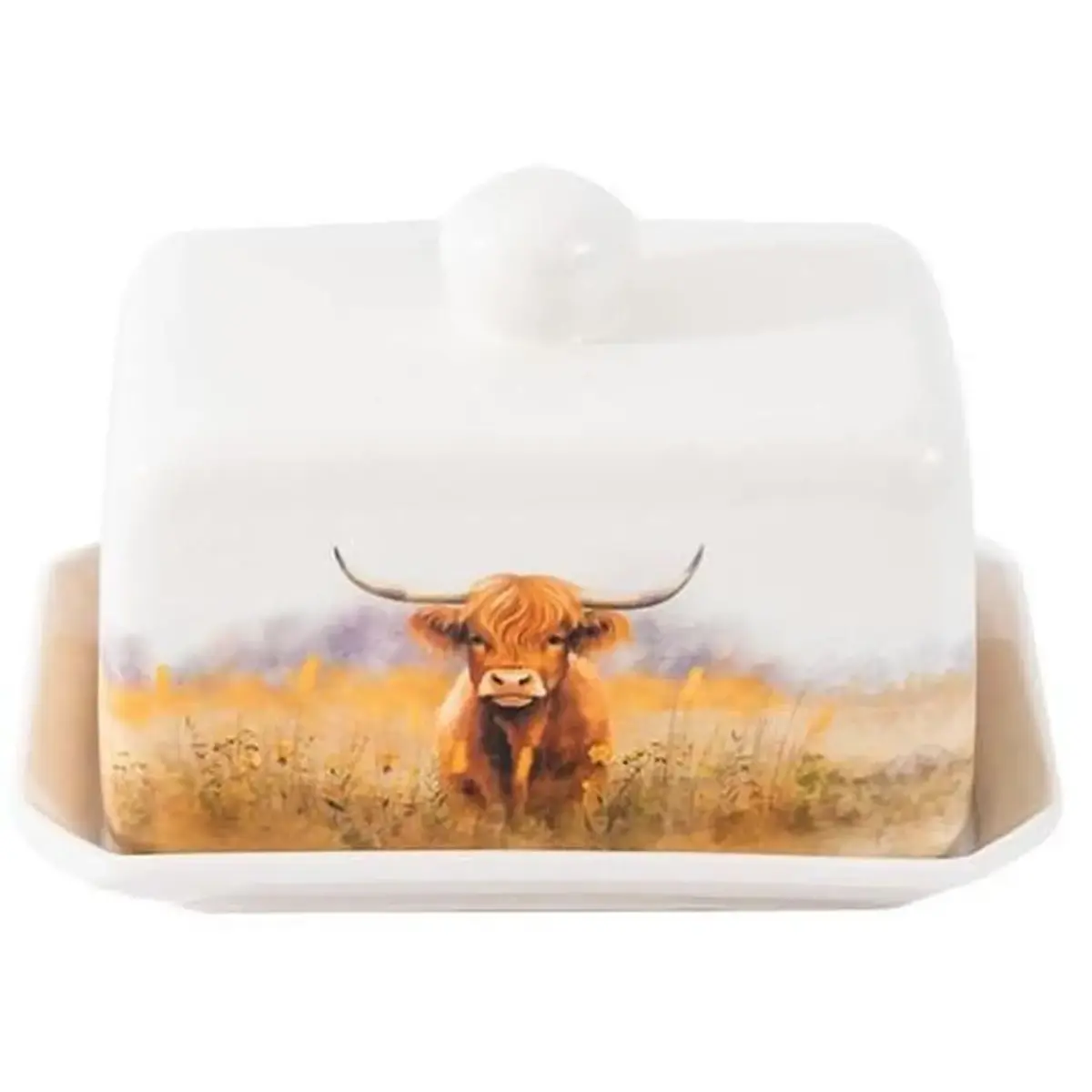 Coco & Gray Highland Cow Butter Dish 16x11cm