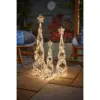 Three Kings GoldTwist Starbelisk 60cm