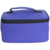 Lunch Cool Bag Assorted Colours 22 x 15 x 11cm