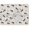 Robins Retreat Placemats 4Pk image 2