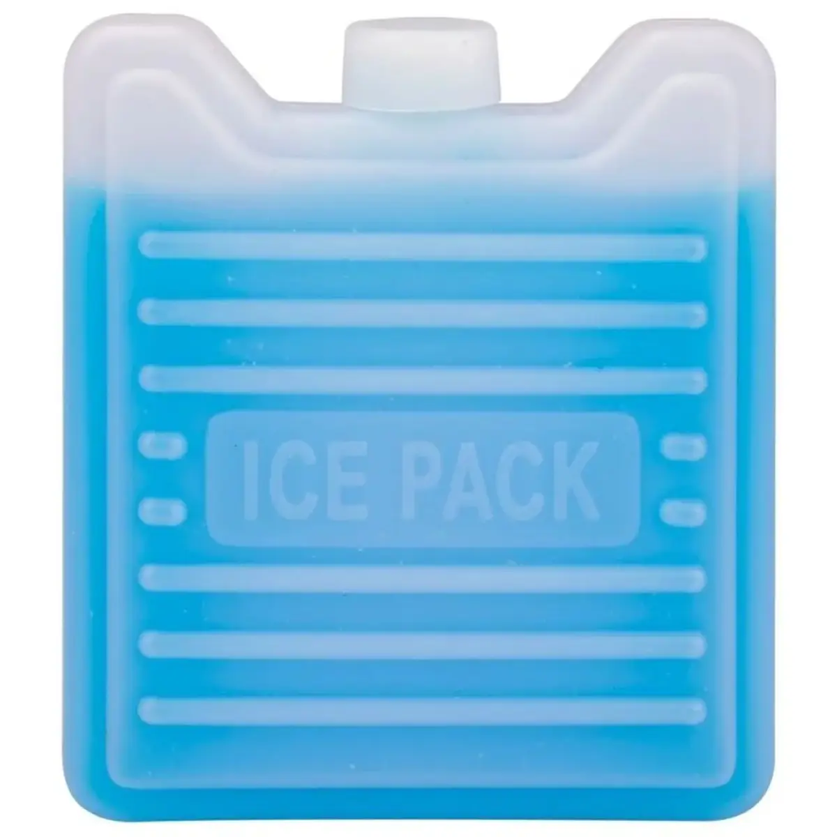 Casa & Casa Ice Block 100ml 2Pk